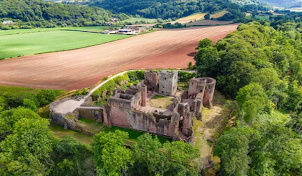 aerial view of ruined castle