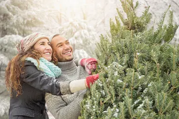 couple inspecting a christmas tree