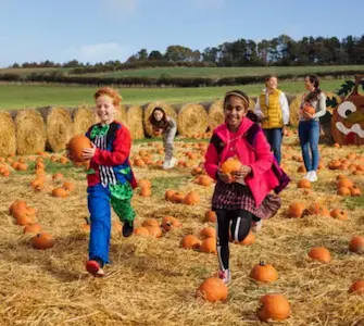 young girl looks excited to meet and greet an equally excited goat